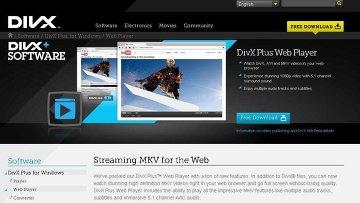 DivX ���������� ������������ Flash-������ �� Adobe (09.12.2010)